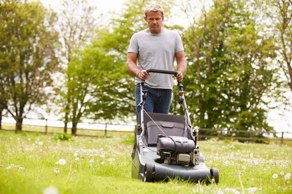 Can a lawn mower cause hearing damage