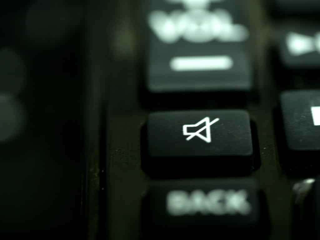 Make sure your microphone isn’t muted