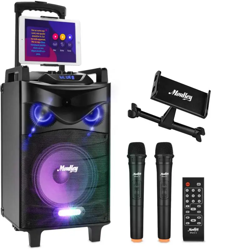 10 Best Karaoke Speakers in 2020 Audio MAV