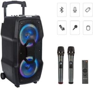 10 Best Karaoke Speakers in 2020 - Audio MAV