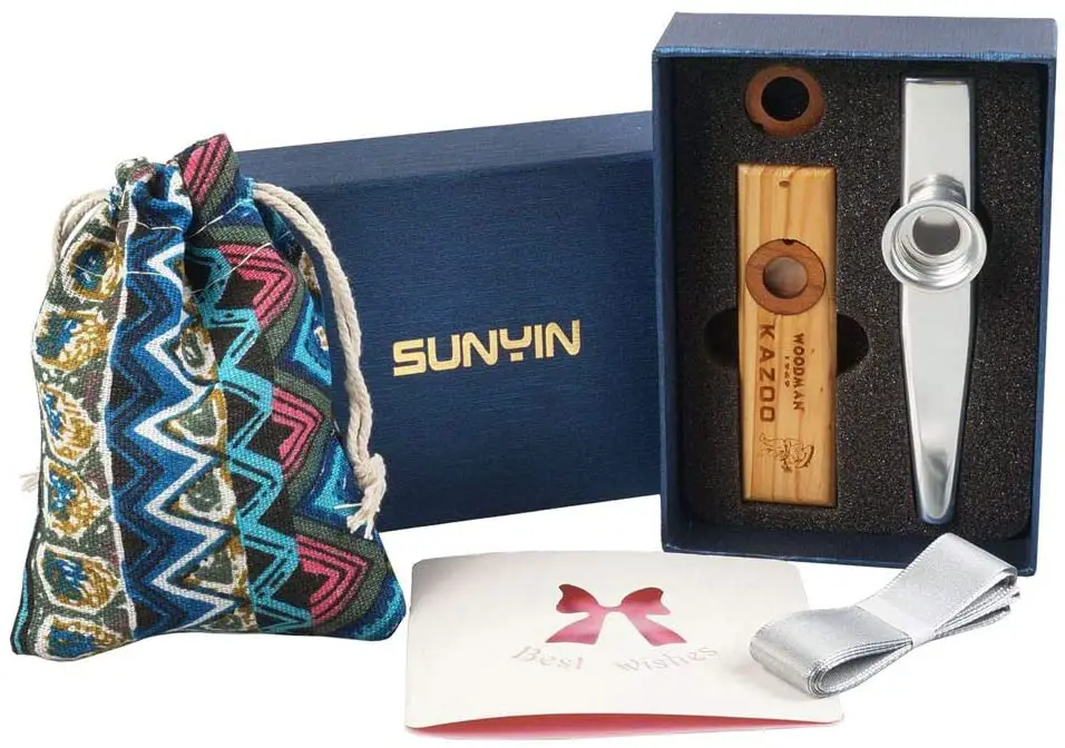 Best Kazoos for 2021 Reviews and Buying Guide Audio MAV