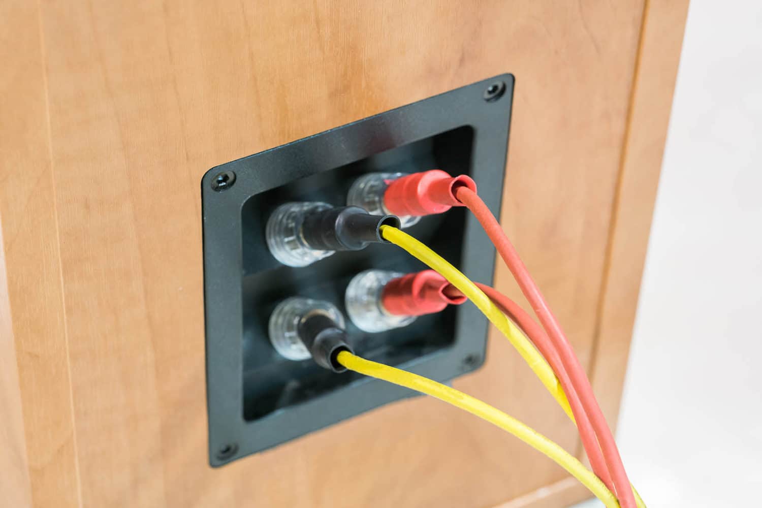 BiWiring Speakers Benefits Audio MAV