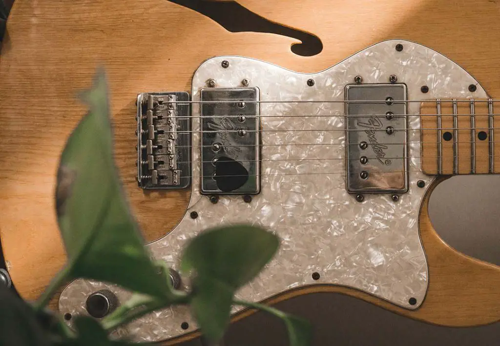 Thinline Telecaster vs. Solid Body Telecaster Audio MAV