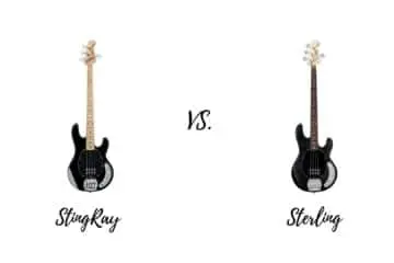 StingRay Bass vs Sterling Bass Comparison