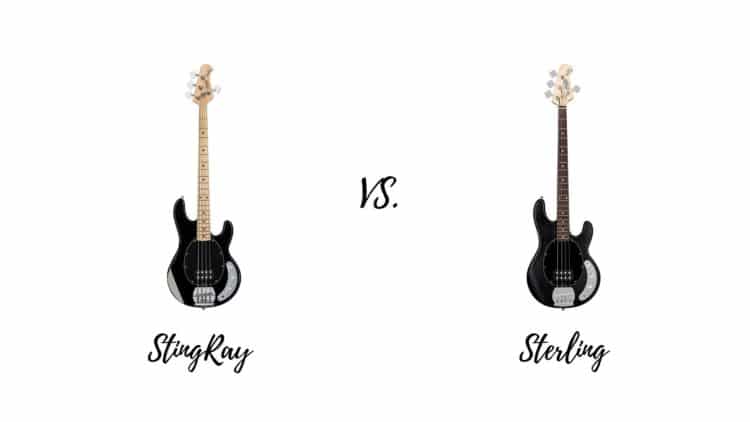 StingRay Bass vs Sterling Bass Comparison