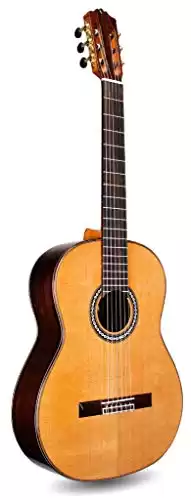 Cordoba C10 CD Acoustic Nylon String Classical Guitar