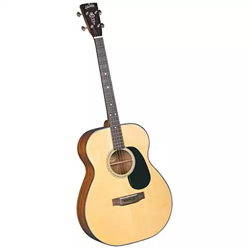 Blueridge Guitars 4 String Acoustic Guitar